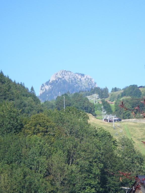 Heidinger Apartamento Oberaudorf Exterior foto